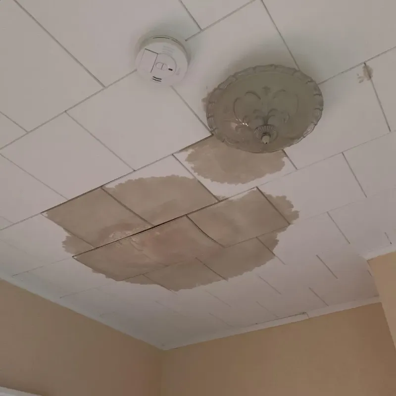 Ceiling Water Damage Repair in Lincoln County, NE