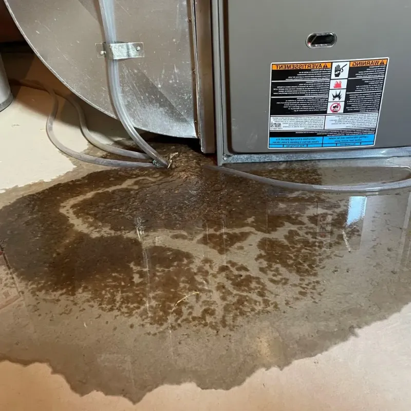 Pipe Burst and Leak Restoration in Lincoln County, NE