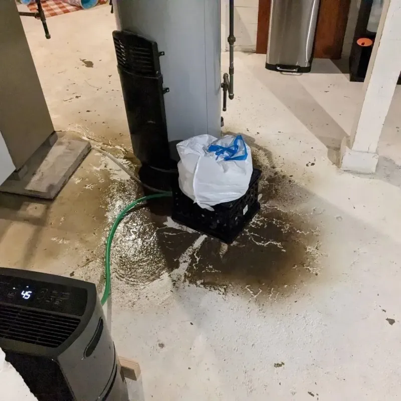 Sewage Backup Cleanup Service in Lincoln County, NE